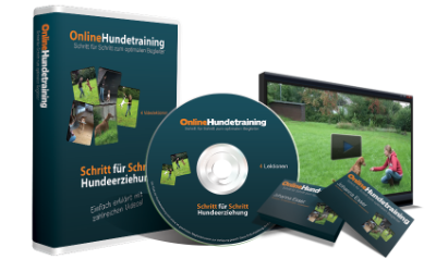 Online Hundetraining