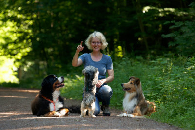 Umgang Hund Körpersprache